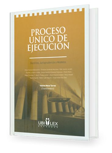 PROCESO ÚNICO DE EJECUCIÓN